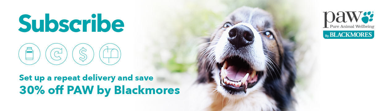 Subscribe to PAW by Blackmores. Set up a repeat delivery and save 30% | Blackmores